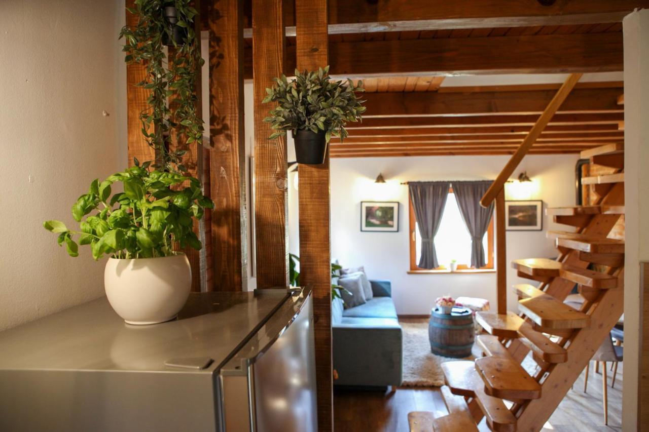 Woodenhouse With Two Apartments Otočac Eksteriør bilde